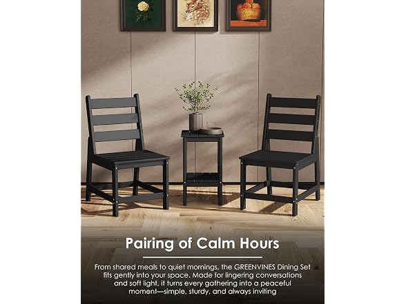 GREENVINES HDPE Outdoor Dining Chairs Set of 2, Armless Chair, Black