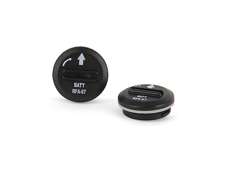 Petsafe 6-Volt Lithium Battery: 2 pack