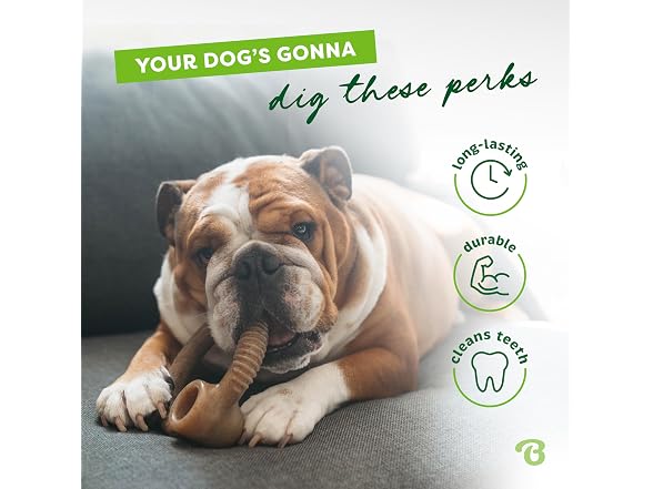Benebone Ring Durable Dog Chew Toy
