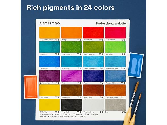 Professional Watercolor Paint Set