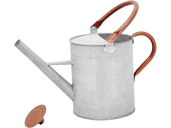 HORTICAN 1 Gallon Metal Watering Can