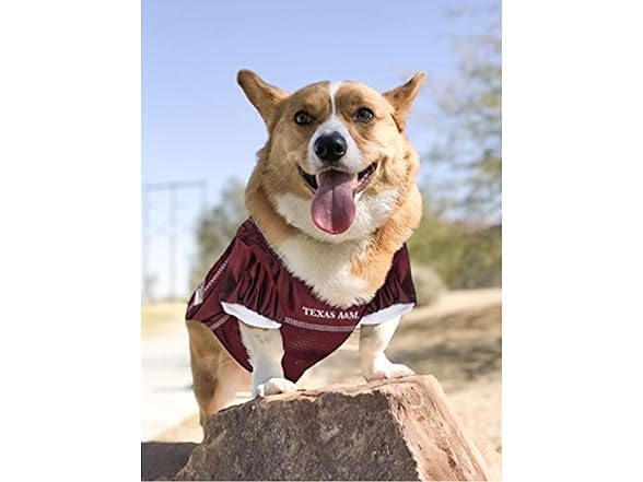 Pets First Texas A&M Aggies Jersey, L