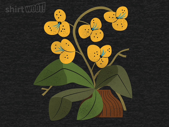 Yellow Orchid