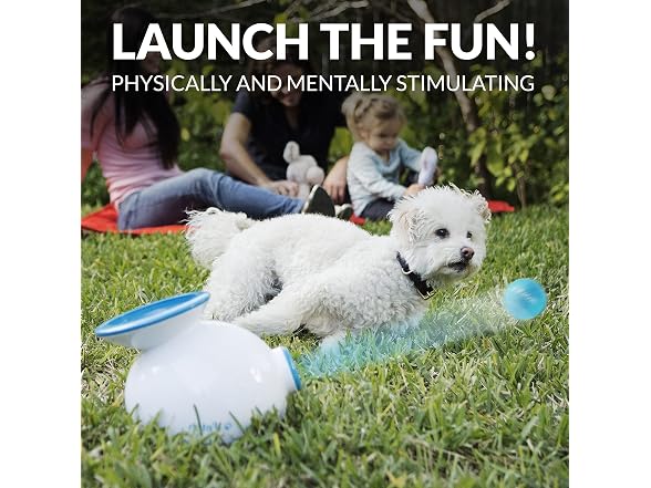 iFetch Automatic Ball Launcher for Small Dogs