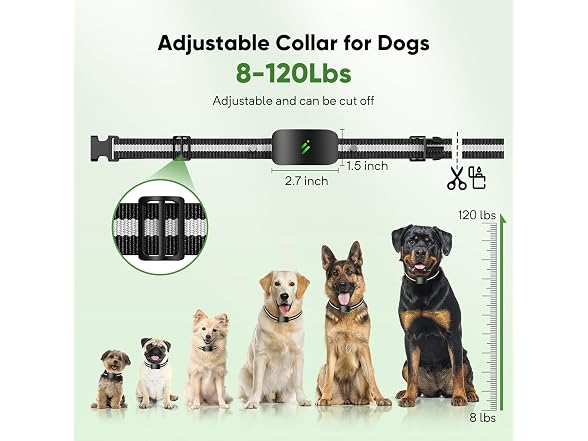 PFIXV Dog Training Collar 2 Dogs with Remote Control