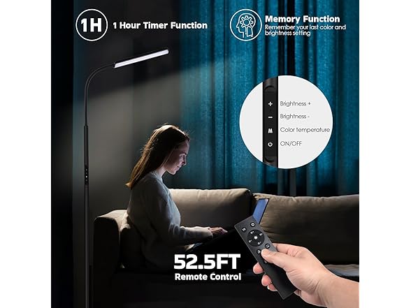 Dimunt Floor Lamp