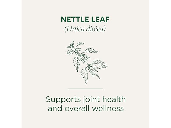 Traditional Medicinals Organic Nettle