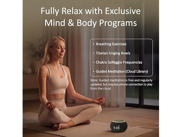 Hotmoon Luna Pro Smart Sound Machine