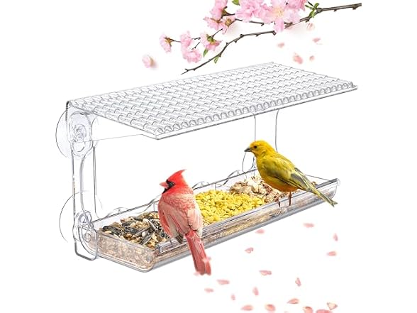 Clear Window Bird Feeder