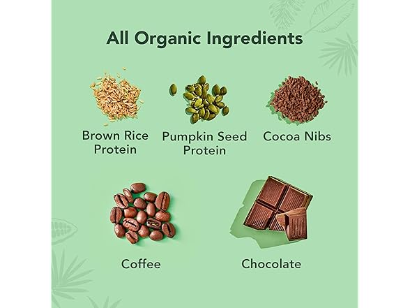 12CT ALOHA Organic Plant Based Protein Bars Chocolate