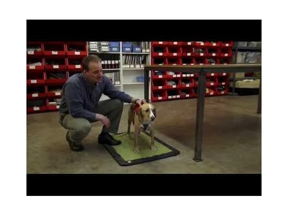 RUFFWEAR - Web Master, Multi-Use Support Dog Harness