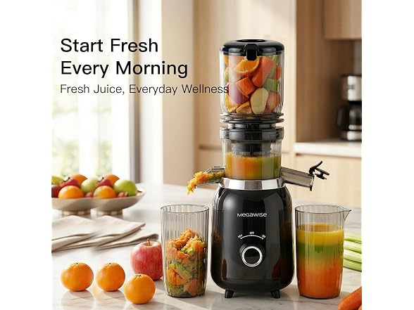 MEGAWISE Slow Masticating Juicer