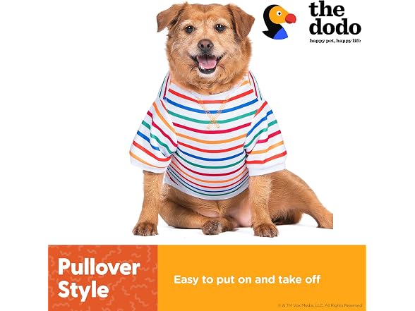 The Dodo Striped Crewneck Sweatshirt for Dogs, L