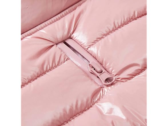 Blueberry Pet Windproof Quilted Winter Jacke
