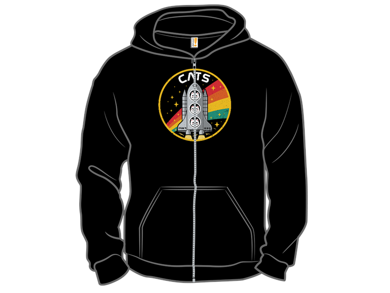 CATS  Space Division