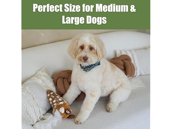 SPOT Woodsy Gnome Dog Toy
