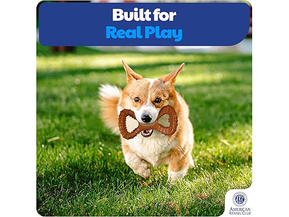 American Kennel Club 2 Pack Training Tug and Ring