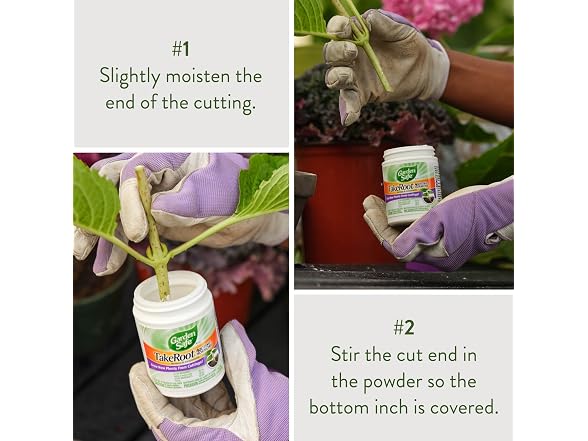 Garden Safe Take Root Rooting Hormone