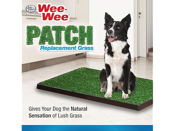 Four Paws Wee-Wee Premium Patch