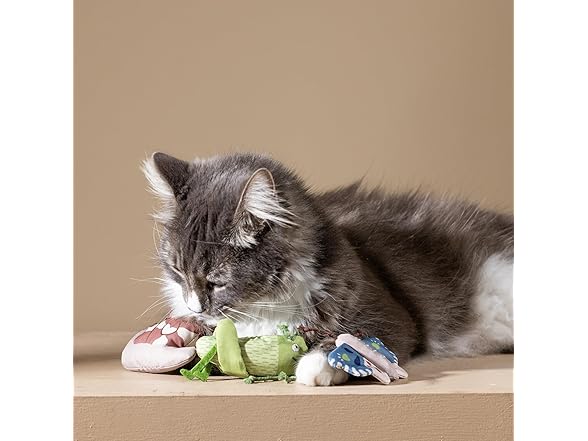 Fringe Studio Catch ME IF You CAN Cat Toy