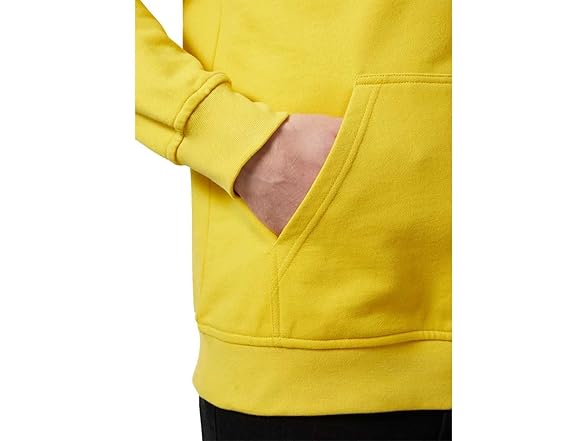 Helly Hansen (S) Mens HH Logo Hoodie