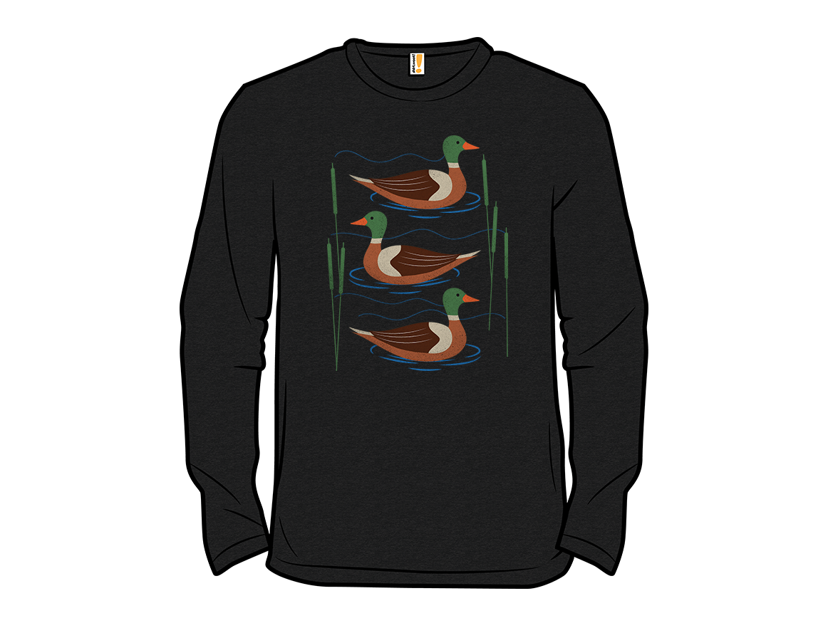 Ducks in the lake - Gallery 13