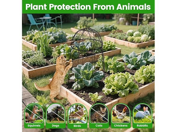 DFJFIFF 12Pcs Garden Cloche
