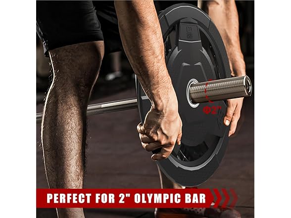 FAGUS H 10LB Pair Weight Plate 2-Inch
