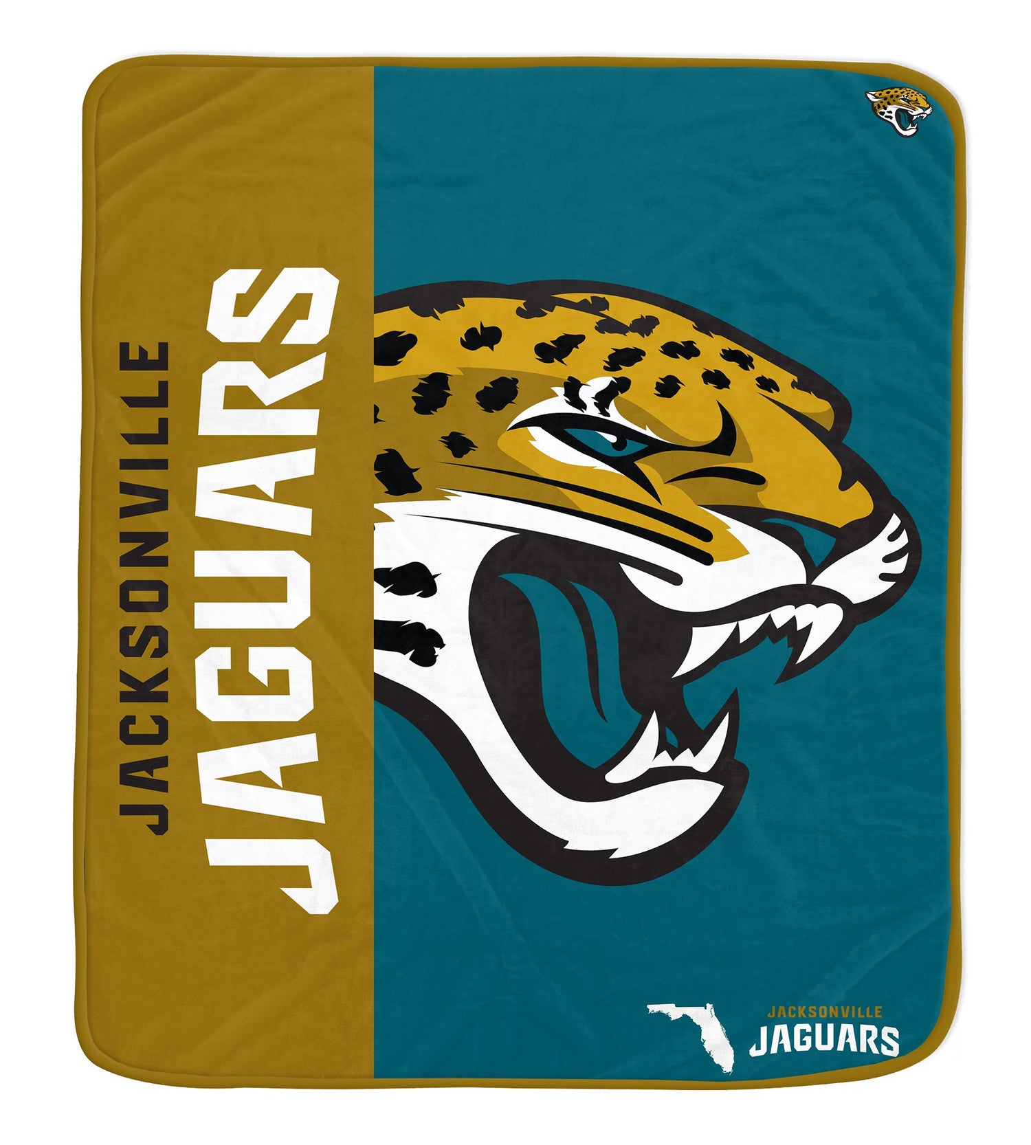 NFL Team Logo Soft Throw (50 x 60) - Gallery 18