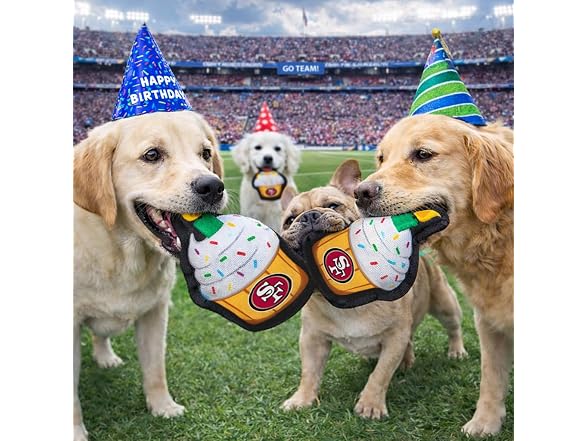 NFL San Francisco 49ers Pet Birthday Cupcake Squeaker Toy