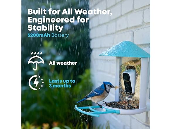 NETVUE Birdfy AI Smart Bird Feeder