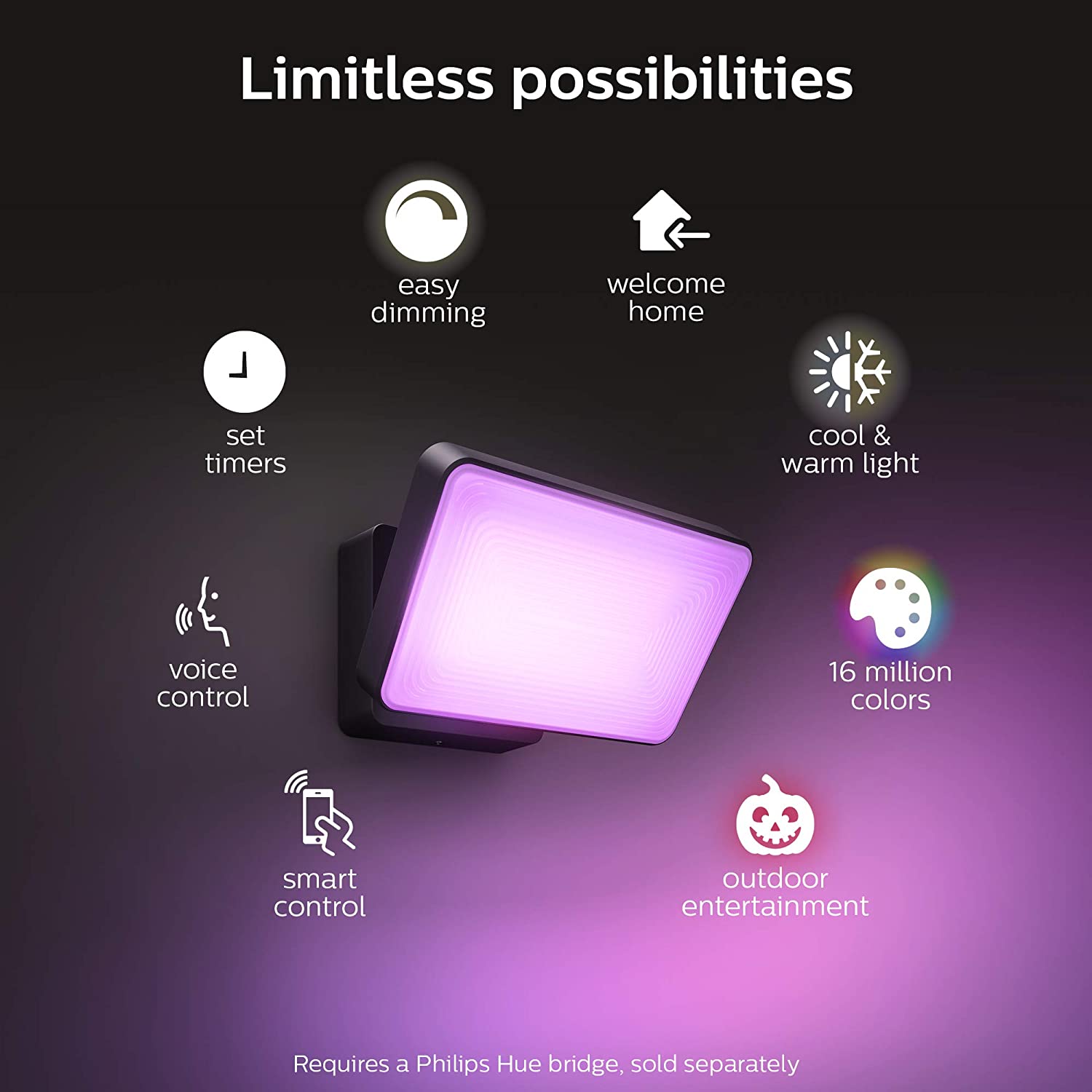 Philips Hue Discover Outdoor Smart Floodlight - Gallery 12