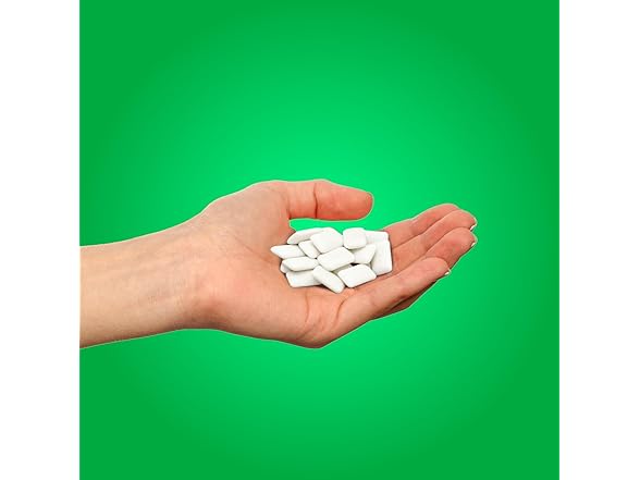 1PK PUR Gum | Aspartame Free Chewing Gum