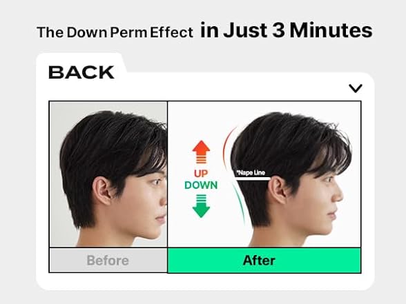 DASHU Perfect Downtech Original 3-Minute Hair Press Down