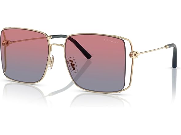 COACH Women's Sunglasses HC 7174 D