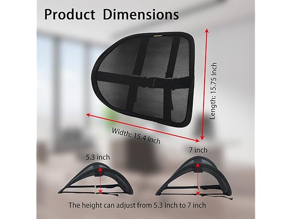 Lumbar Support Back Support (2 Pack)