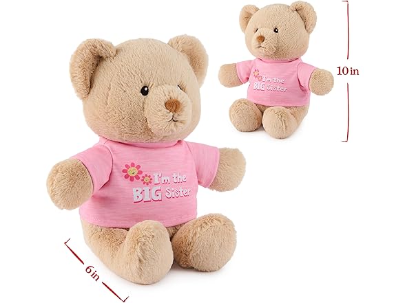 GUND “I'm The Big Sister” Sustainable Bear