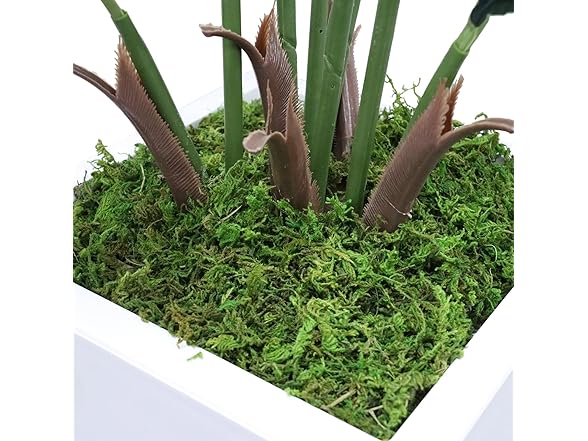 MODCART Artificial Palm 5ft w/Planter