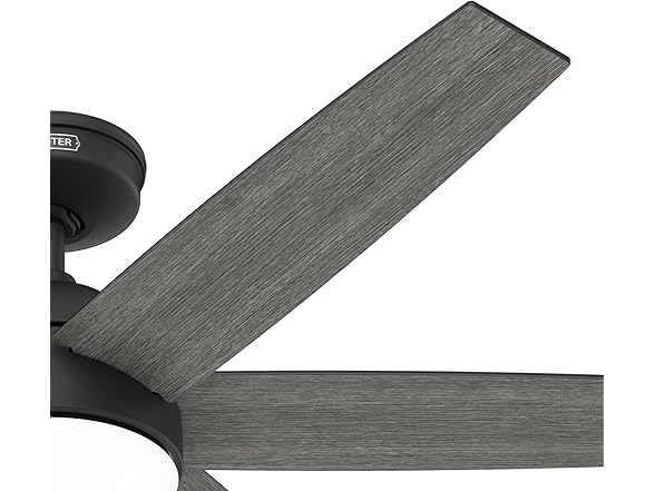 Hunter Fan 52 inch Black Indoor Ceiling Fan w/ Light