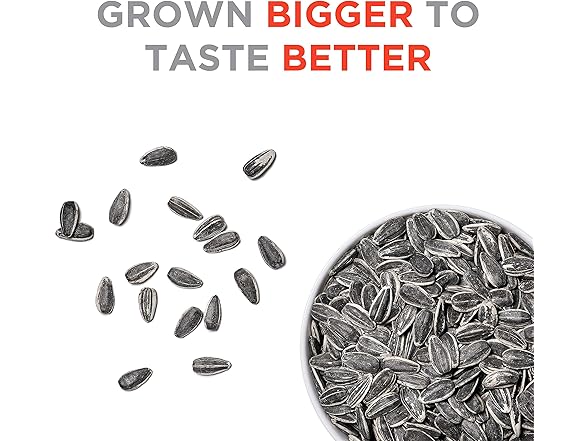 6Pk JUMBO SUNFLOWER SEEDS, Original, 16-Oz