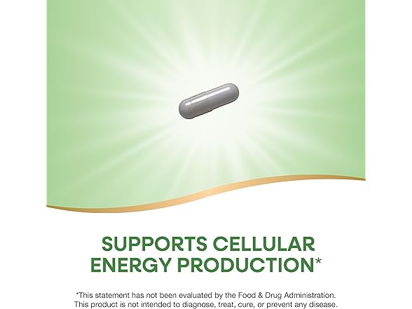 Nature's Way Niacinamide 500mg, 100ct