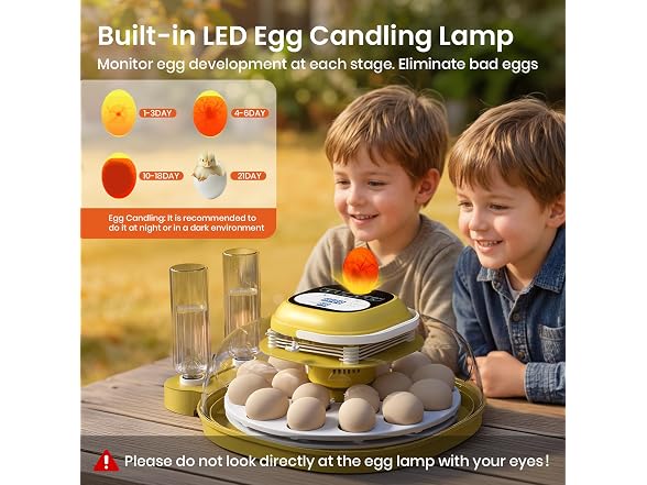 Egg Incubators For Hatching Eggs