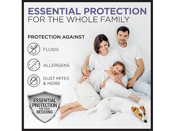 Protect-A-Bed Essential Zippered Mattress Case, Queen