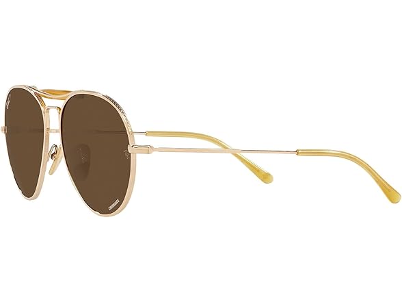 Ray-Ban Unisex RB8063 Titanium Aviator Sunglasses