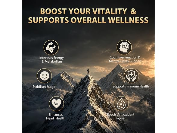 Shilajit Gummies Himalayan Shilajit
