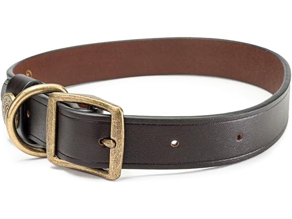 King Buck Premium Leather D Ring Dog Collar