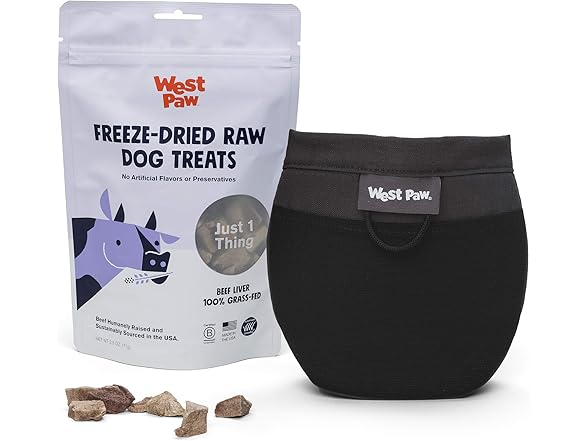 West Paw Design Outings Dog Treat Pouch