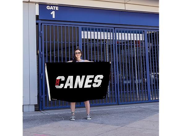 Hurricanes Banner Flag 3x5