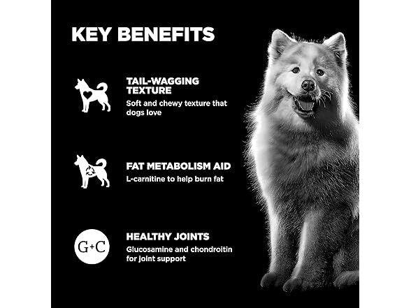 Go! Solutions Weight Management Dog Treats