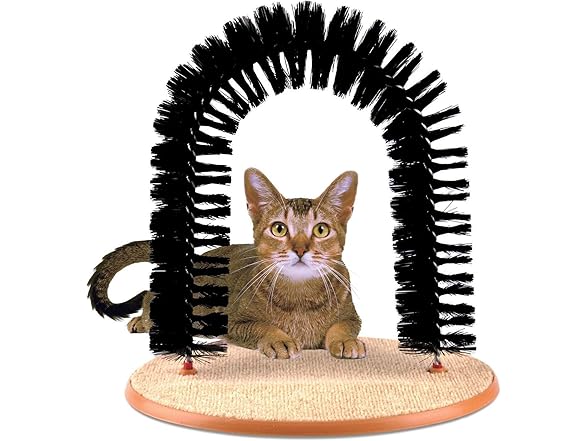 BUYTER Cat Massage Scratching Bristle Arch